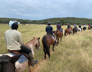 Dinokeng horseback safari